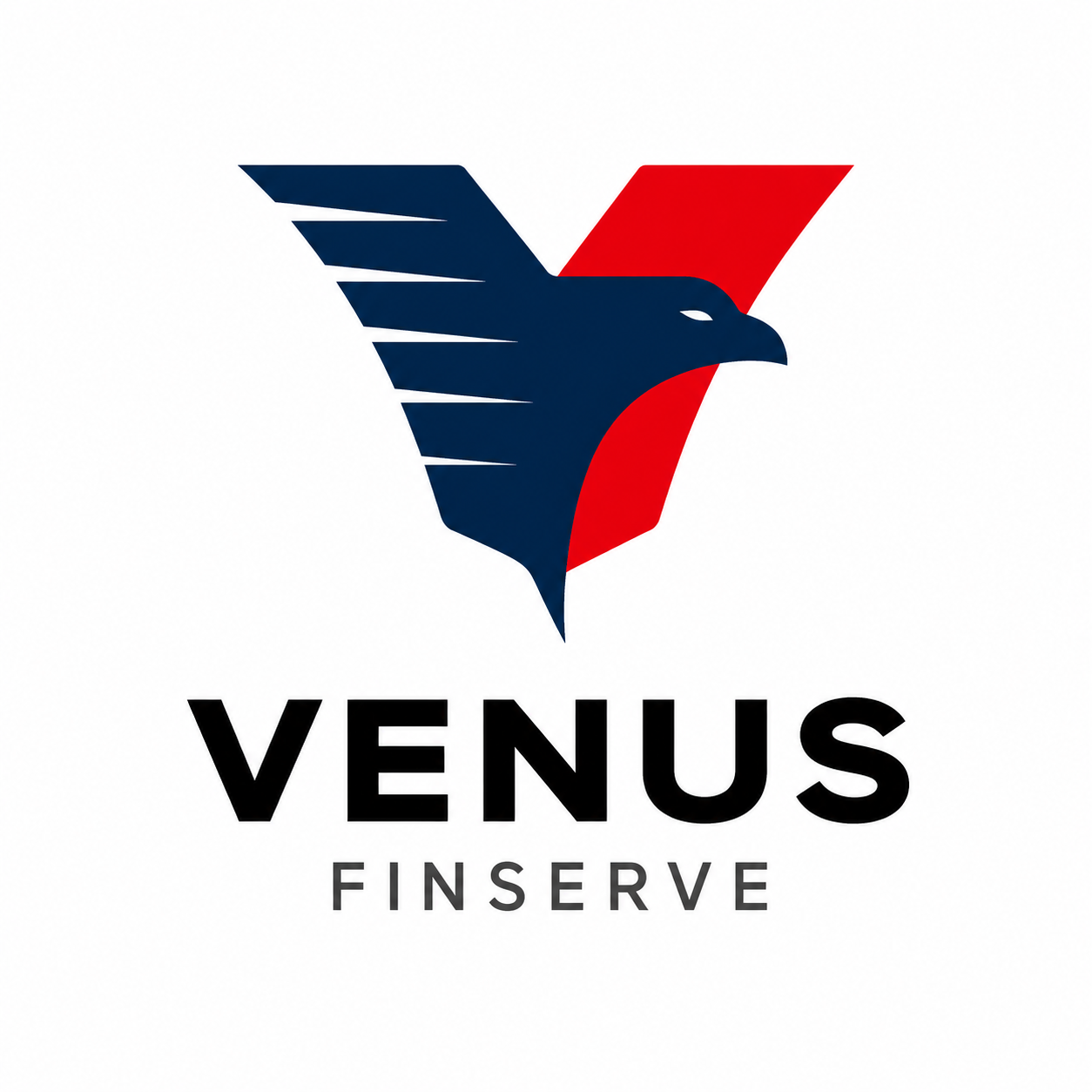 Venus Finserve